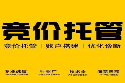 百度SEM广告投放的创意与执行：成功案例详解